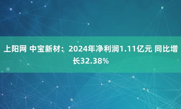 上阳网 中宝新材：2024年净利润1.11亿元 同比增长32.38%
